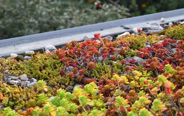 the cost of Crackley green roof installation