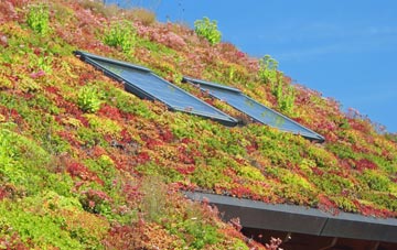 Crackley living roof systems